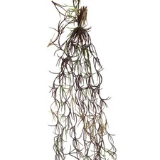 Künstlicher TILLANDSIEN-BUND