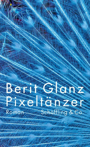 Pixeltänzer roman - pixeltänzer,
