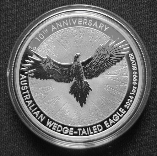 Wedge tailed eagle - wedge-tailed,