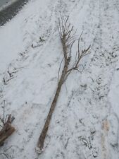 Ast Strauch Vogel Käfig Deko drechseln Holz Epoxidharz