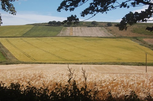 Foto 12x8 blick - 12x8,