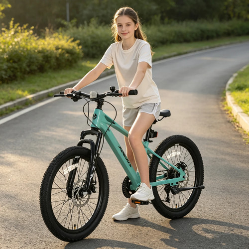 Aiva mountainbike 7 - 7, gänge