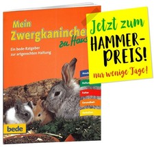 Mein Zwergkaninchen zu Hause