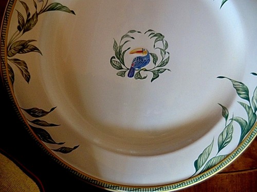Seltene hermes toucans - toucans, gross