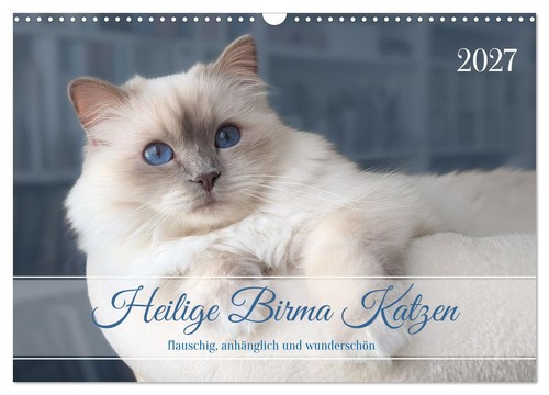 Heilige birma katzen - heilige,