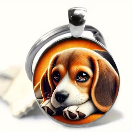 Beagle welpe - beagle,