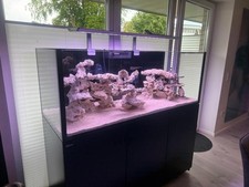 Red Sea Reefer 525 XL G1