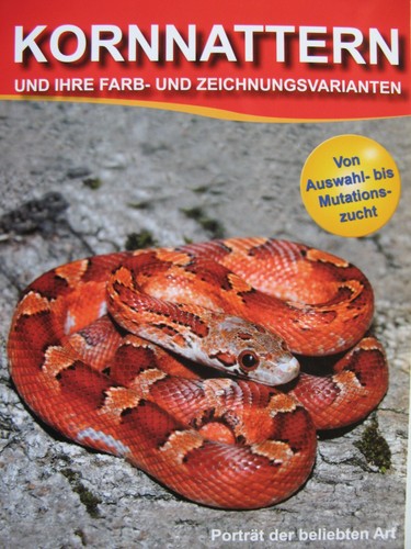 Kornnattern und ihre - und,