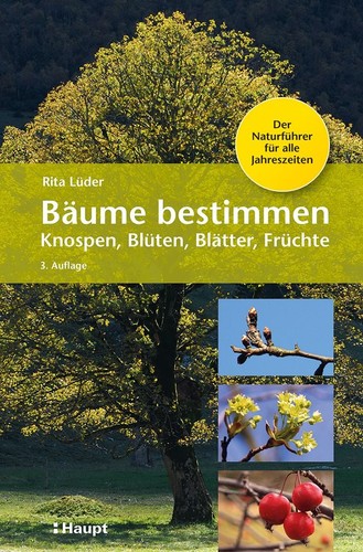 Bäume bestimmen knospen - bäume,