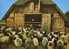 AK Lüneburger Heide