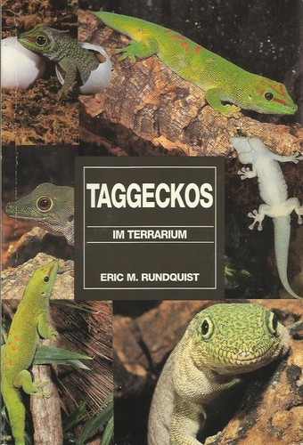 Taggeckos terrarium - taggeckos, im