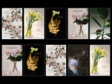 Trauerkarten Beileidskarten