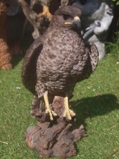 Falke Adler Deko Figur Bussard  Gartenfigur Greifvögel HOTANT NEUHEIT