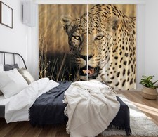 Leopard zhuc397 tier foto - leopard,