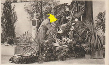 Alte Ak - A. Hitler am Grabe seiner Eltern - ungelaufen von 1938