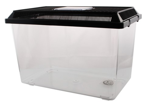 Faunarium faunabox - faunabox,
