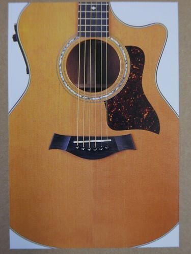 Popkarte feat taylor 514ce - feat.,