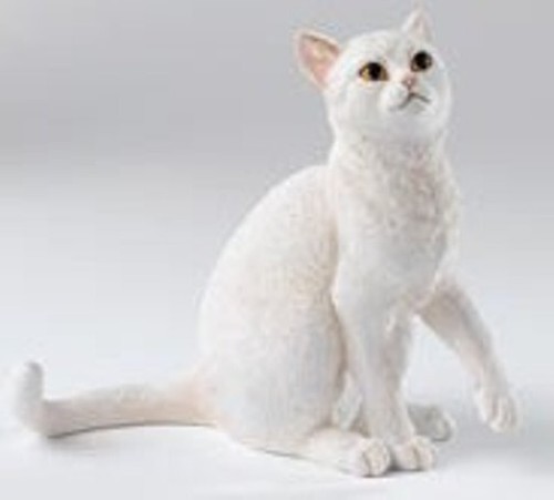 Country artists weiße katze - country,
