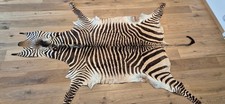 ? Echtes Burchell-Zebrafell aus Namibia – Neu & ungenutzt | Afrika Deko
