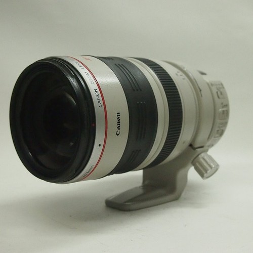 Canon 300mm 5 - 28-300mm, l