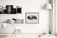 Bison Bild Poster Kunstdruck