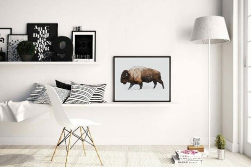 Bison bild poster kunstdruck - bison,