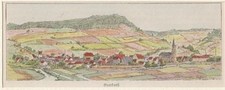 Orig. kolorierter Holzstich -
