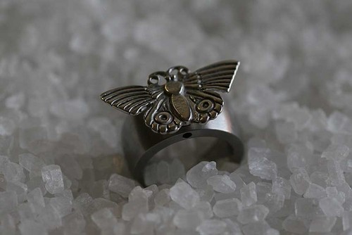 Traum schmetterling in - ,