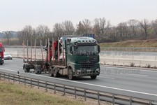 LKW Foto Mercedes-Benz Langholz-Transporter Deutschland grün #m1oy