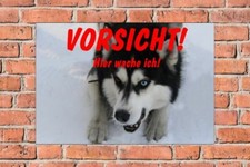 Schild Hund Husky Vorsicht