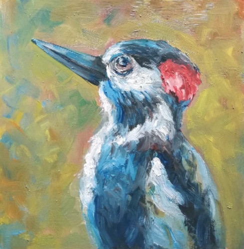 Vogel specht öl - vogel,