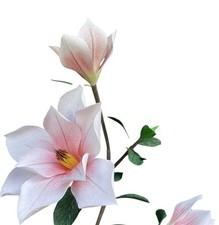 Magnolie aus Krepppapier