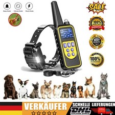 1000M Elektroschock Pet Dog