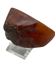 Großer Natur Bernstein Findling teilpoliert 82,88 Gramm Butterscotch light Amber