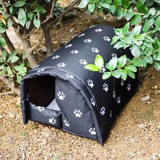 Winter katzenhaus outdoor - winter,