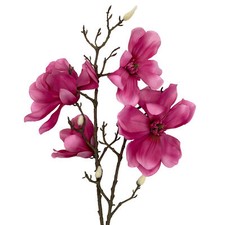 Deko magnolienzweig magnolie - deko,