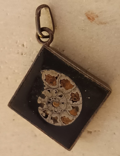 Fossil sterling silber - &,