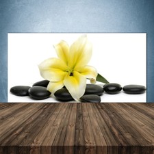 Küchenrückwand aus Glas ESG