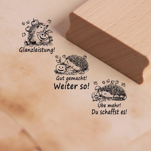 Lehrerstempel igel set 3 - set,