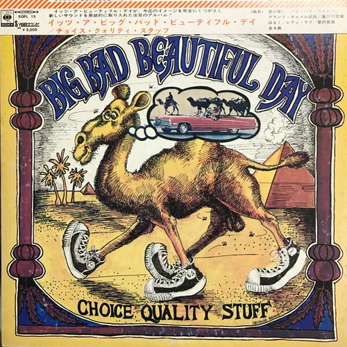 Its beautiful day choice - its,