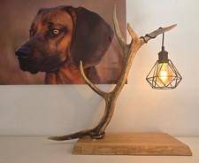 Rothirsch Stehlampe E27 Fassung Geweih Lampe Rustikal Büro Dekoration Standlampe