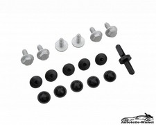 Unterfahrschutz Clips Set für