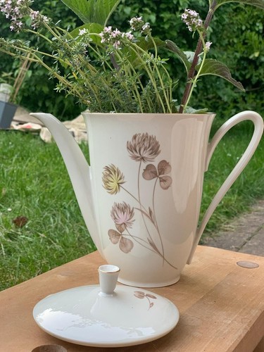 Hutschenreuter arzberg - ,