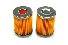 Filtereinsatz für Tartarini