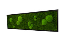 Wandbilder forest design - wandbilder,