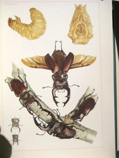 Sammlung naturkundlicher