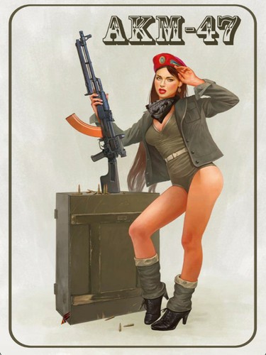 Blechschild 30x40 gewehr - blechschild, pinup