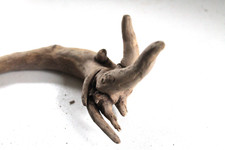 Schwemmholz Treibholz