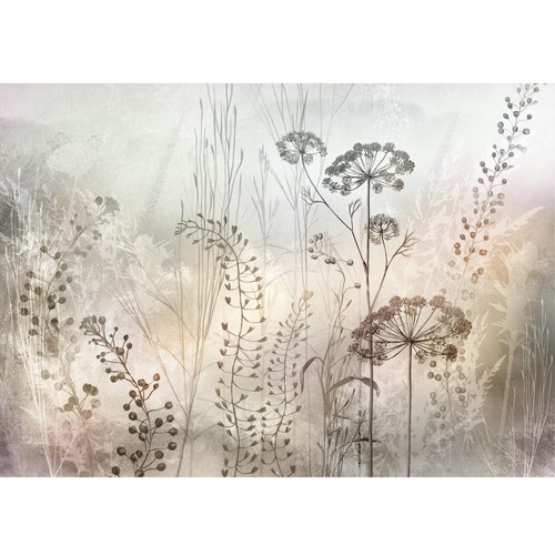 Fototapete blumenwiese - fototapete,