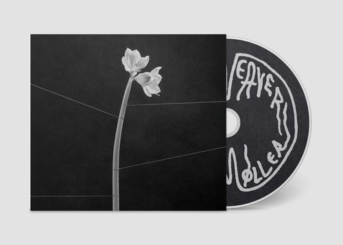 Trentemøller dreamweaver - dreamweaver, (cd)